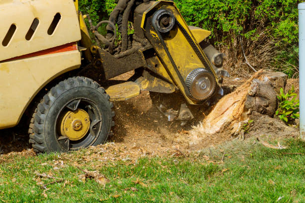 Lawn Irrigation Installation and Maintenance in Greenland, AR